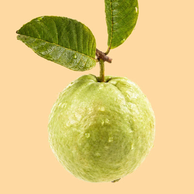 Guava