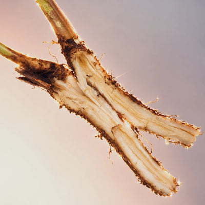 Inulin