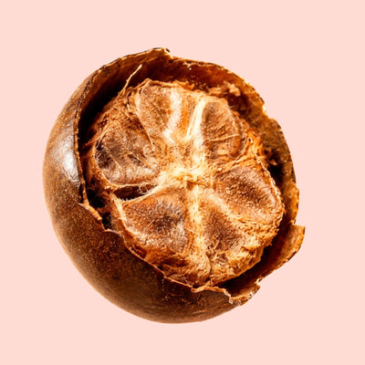 Monk Fruit Extract