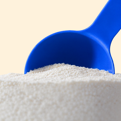 Skim Milk Powder 